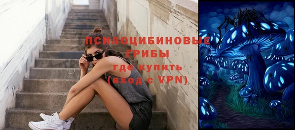 крисы Белоозёрский